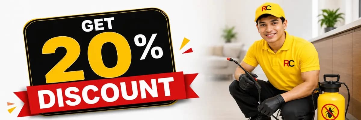 Summer Discount 20%